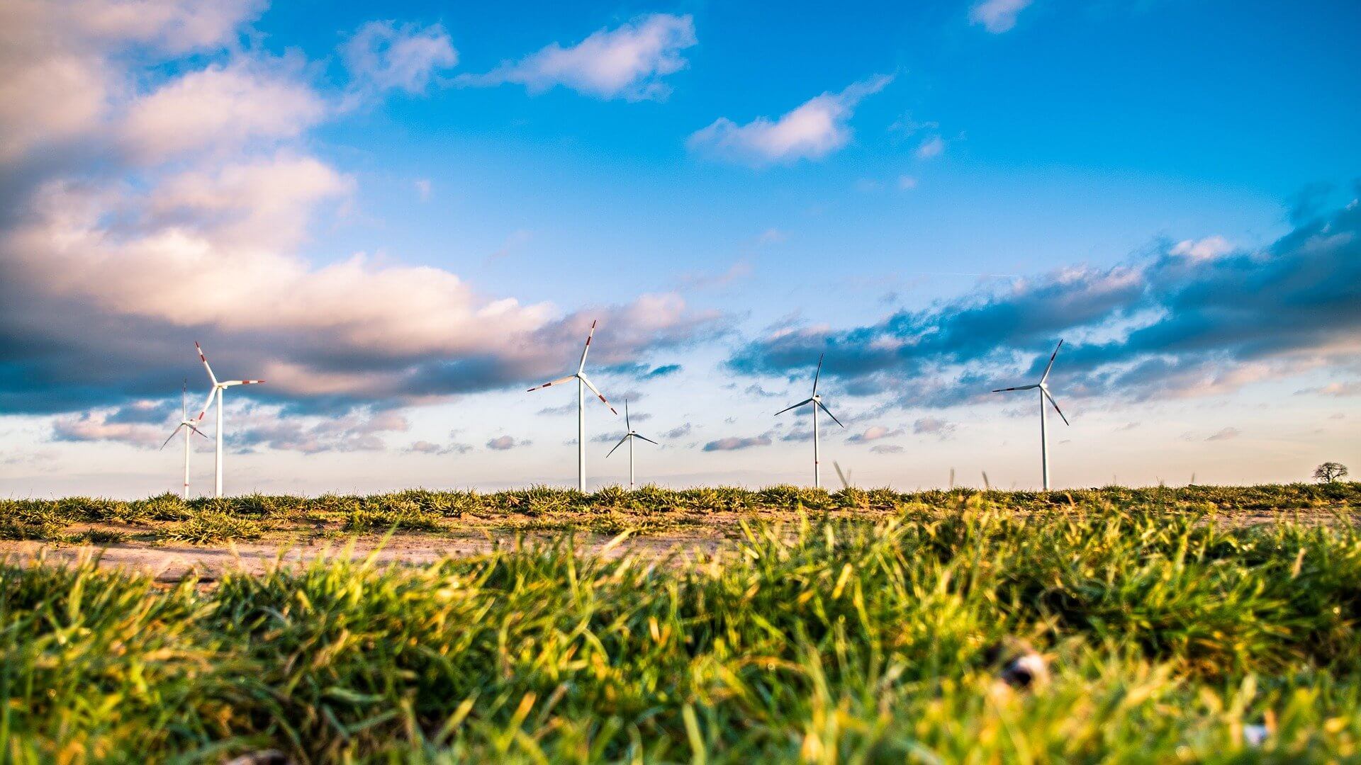 windenergie elektro innovation - Wir setzen Energie effizient ein